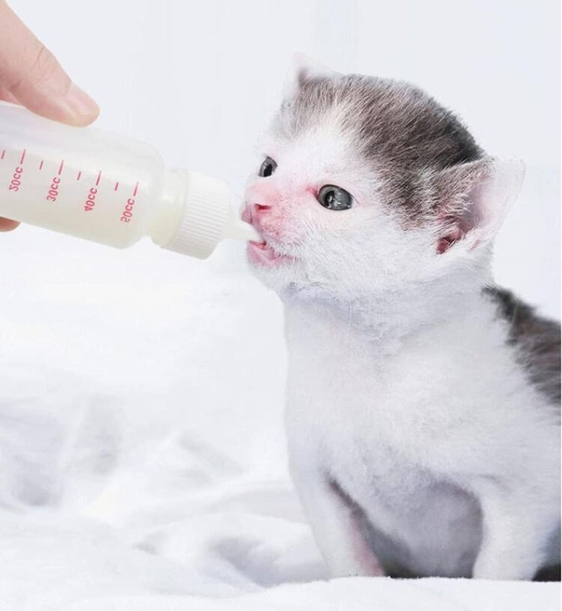 DoubleWood Pet Nursing Bottle Kit for Newborn Animals - Image 5